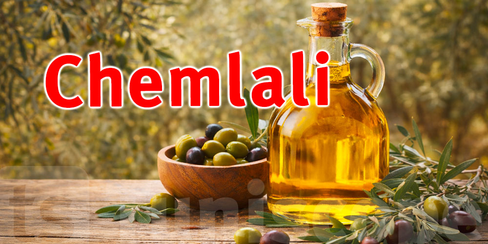 Vous ne connaissez pas le Chemlali ? Découvrez le roi des olives tunisiennes !