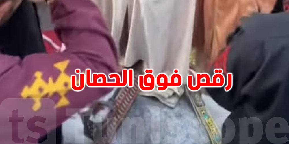 15 يوم سجن وخطية بـ 4800 فرنك؟ عقوبة تخلّي الناس تستغرب في قضية الحصان!