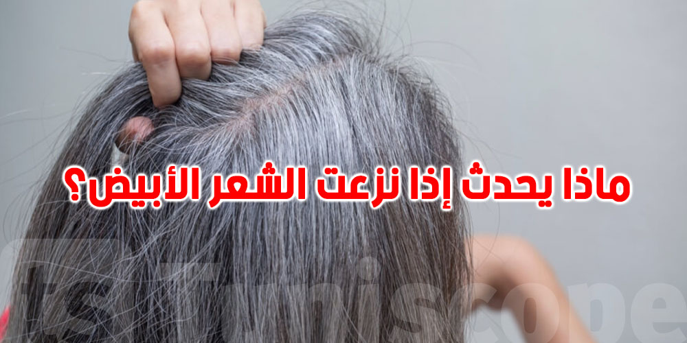 احذري نزع الشعر الأبيض: عادة شائعة قد تدمّر بصيلات شعركِ!