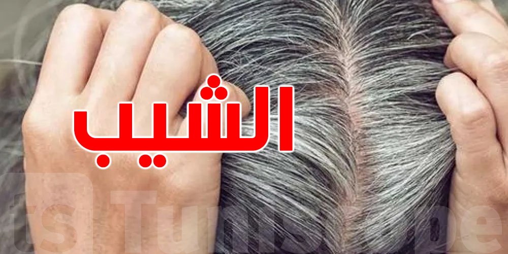 مفاجأة حول علاقة الشيب بالتوتر النفسي.. دراسة علمية تكشف هذه الحقائق