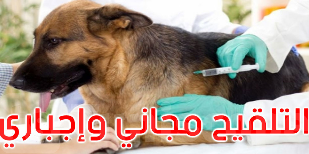 من سبتمبر إلى أكتوبر 2025: حملة وطنية شاملة للتلقيح ضد داء الكلب