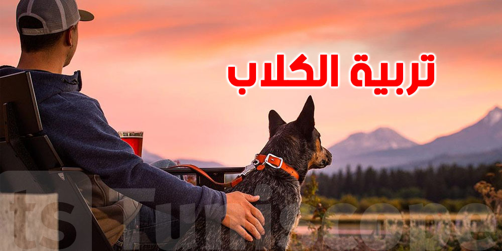 شاب تونسي: ''الكلب هو خويا''