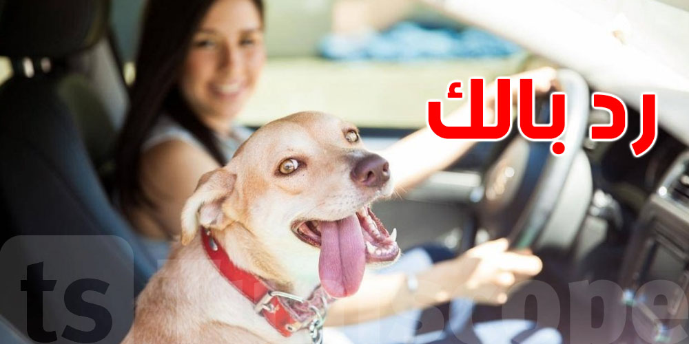 5 دقايق؟ راهو في الكرهبة تنجّم تكون آخر دقايق في حياة حيوانك!