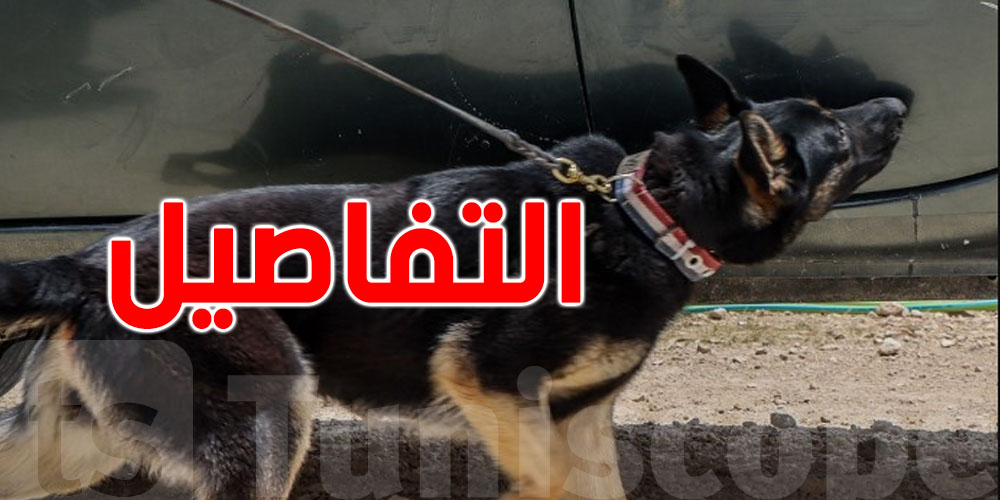 عاجل: أجهزة حديثة وكلاب مدرّبة لحجز ملايين الحبوب المخدرة في تونس!