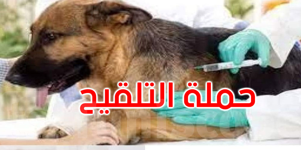  بلدية رواد: تواصل الحملة الوطنية للتلقيح ضدّ داء الكلب غدا السبت