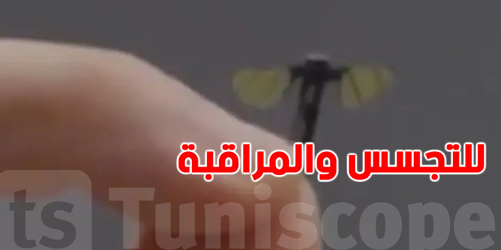بعوضة للتجسس والمراقبة... لا تُرى بالعين المجرّدة!ما قصتها ؟