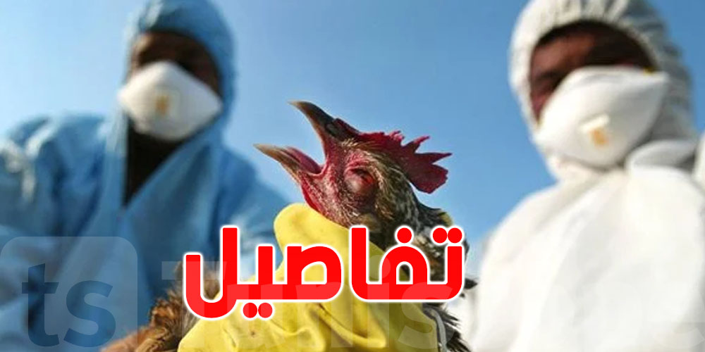 تحذير من'' فيروس انفلونزا الطيور'' ...منظمة الصحة العالمية على الخط 