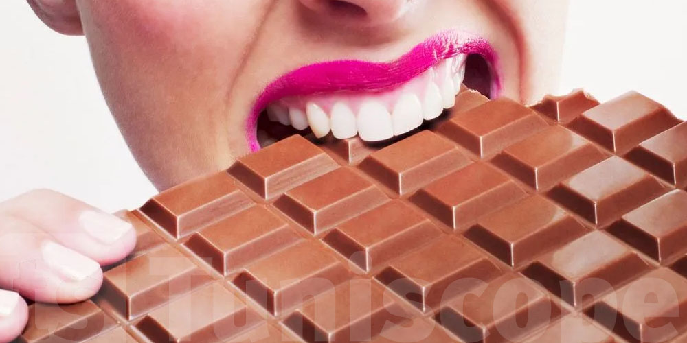 موش الشوكولا برك.. أكلات ترجّع نفسيتك لاباس