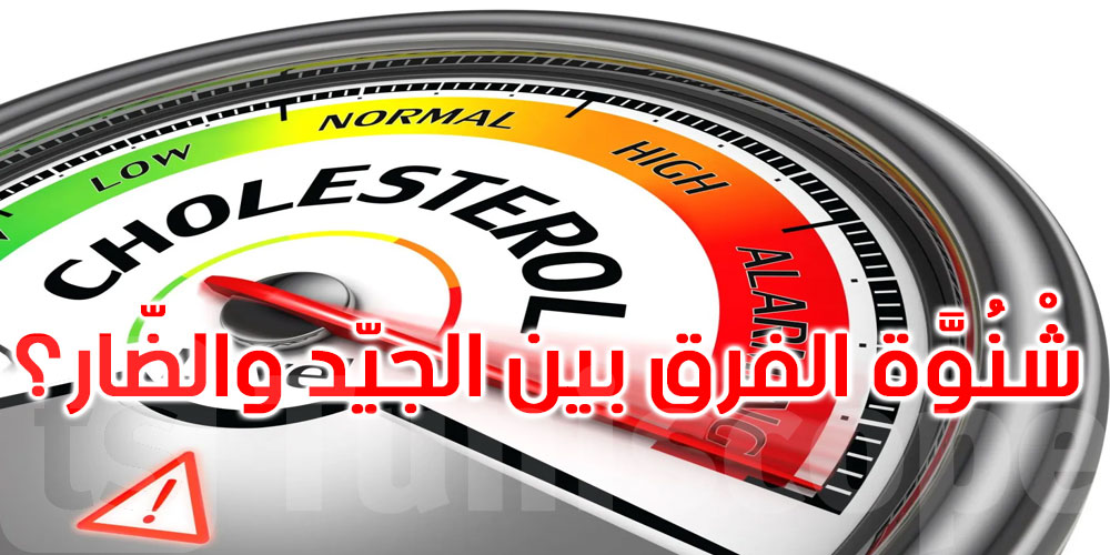الكولستيرول الجيد والكولستيرول الضار: هل تعرف ما هو الفرق؟
