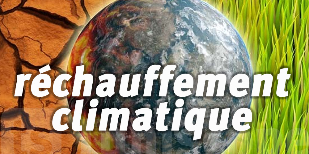 Réchauffement climatique : 2024, l'année où la Terre franchit le cap des 1,5°C