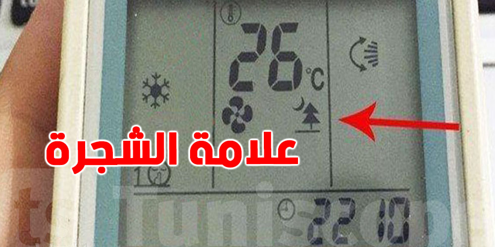 شنوّة تعني علامة الشجرة في كومند الكليماتيزور؟