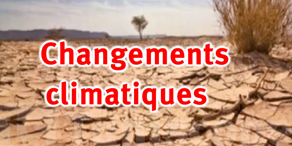 La Tunisie au 18e rang mondial en termes de sécheresse