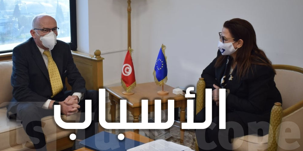 تونس : وزيرة التجارة تستقبل رئيس بعثة الاتحاد الأوروبي