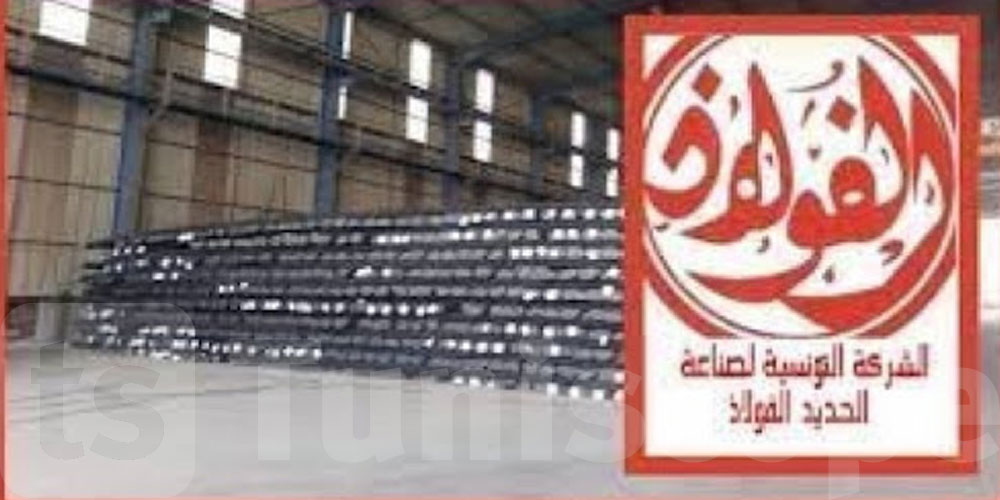 مجلس وزاري مضيق يقر تسهيل الإجراءات لإحالة المواد الحديدية لشركة الفولاذ قصد تثمينها 