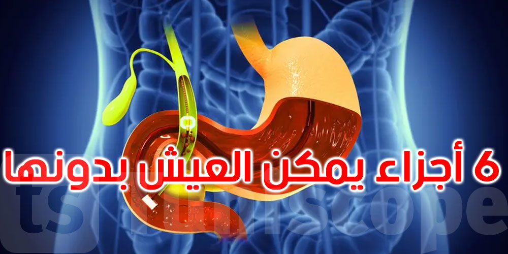 من الزائدة لضرس العقل.. 6 أجزاء في الجسم يمكن العيش بدونها