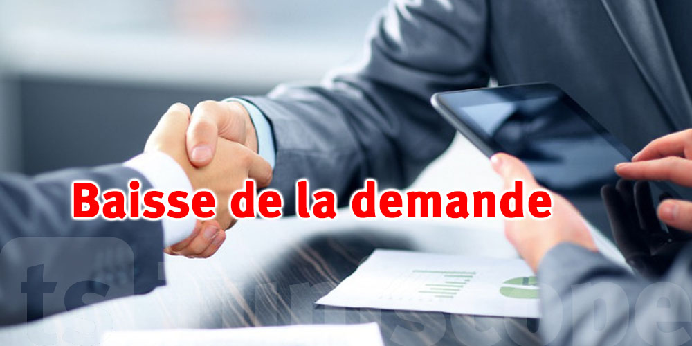 Hausse des coûts et baisse de la demande : les crédits bancaires non professionnels en net ralentissement en 2024