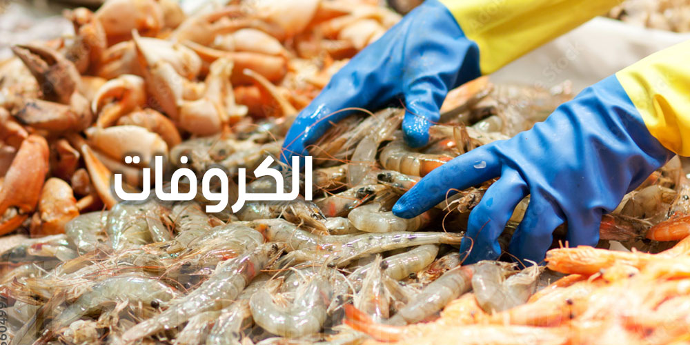 علاش الكروفات متوفرة برشا وبأسعار منخفظة؟