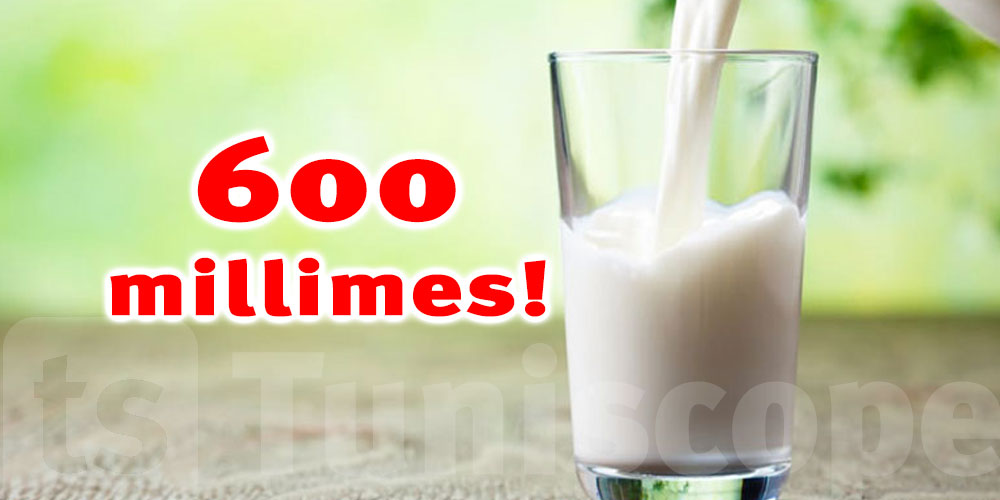 Syndicat d’Agriculteurs : « Nous exigeons une augmentation de 600 millimes au prix du lait »