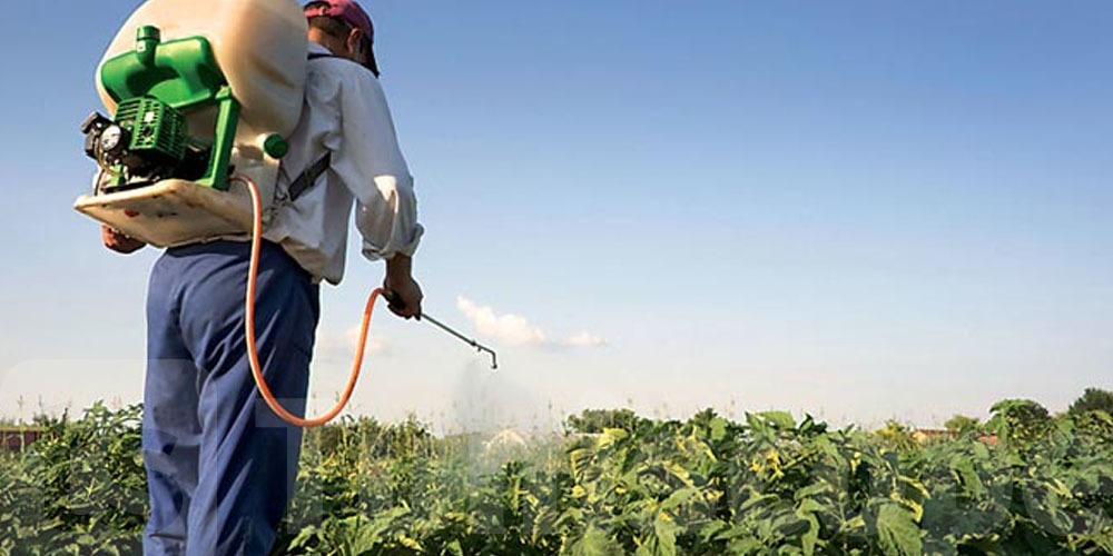 Des pesticides dangereux interdits en Europe, toujours importés en Tunisie