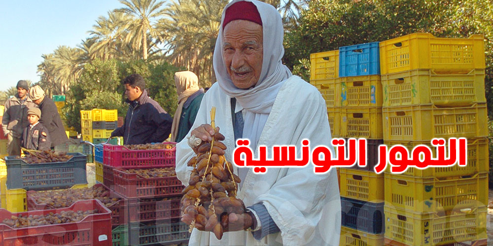المغرب أكبر مستورد للتمور التونسية خلال موسم 2024/2025