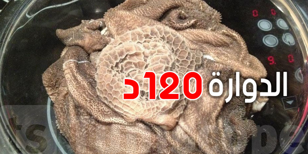 سعر ''دوّارة العلوش'' يوصل إلى 120 دينار