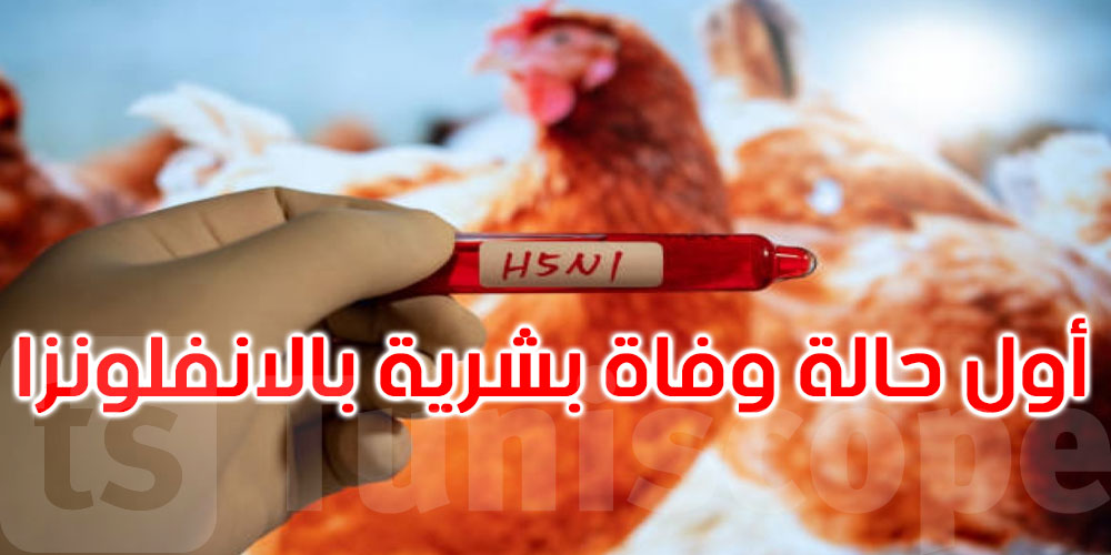 أمريكا تعلن تسجيل أول وفاة بشرية بإنفلونزا الطيور