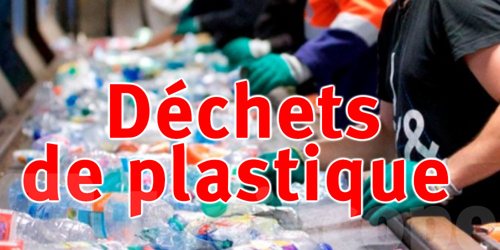 Importation anarchique de déchets plastiques d'Algérie depuis 6 mois