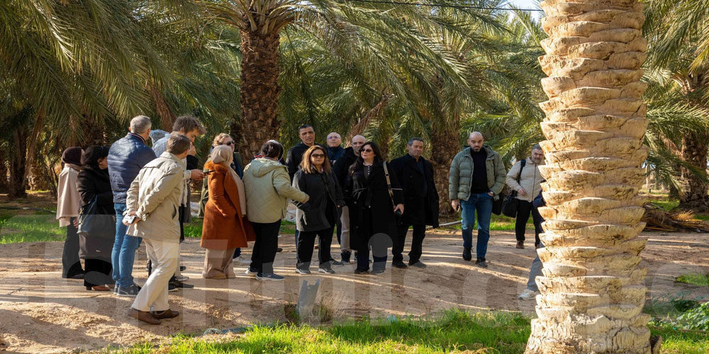 التمور التونسية تعزز حضورها في السوق الأوروبية ولقاءات أعمال مشتركة حول القطاع