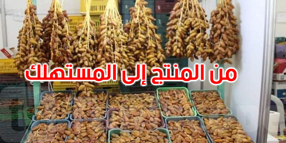 استعدادا لشهر رمضان: هذه نقاط بيع التّمور من المنتج إلى المستهلك