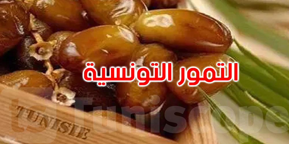   رغم تراجع الصادرات... دقلة النور تواصل ريادتها في السوق العالمية