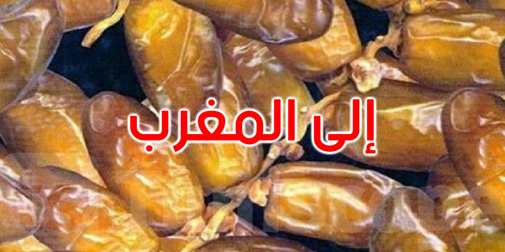 مجمع التمور: انطلاق موسم تصدير تمور ولاية قبلي نحو المغرب