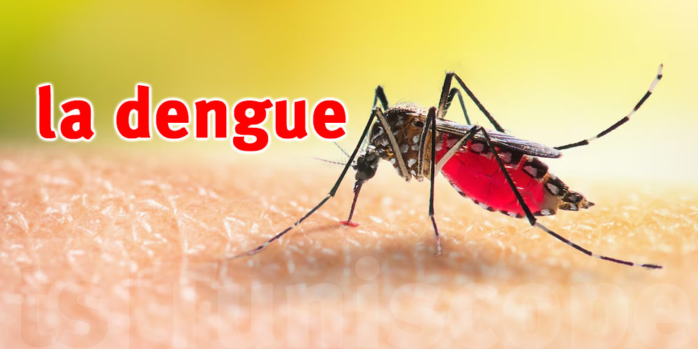 L'OMS lance la lutte mondiale contre la dengue