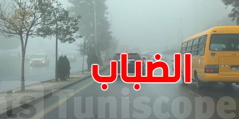 ضباب كثيف يخنق التوانسة في الصباح…وخبراء يوضّحون أسباب الظاهرة
