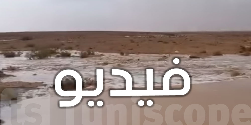 فيديو : دعوة مستعملي الطريق الرابطة بين ذهيبة ورمادة إلى الحذر 