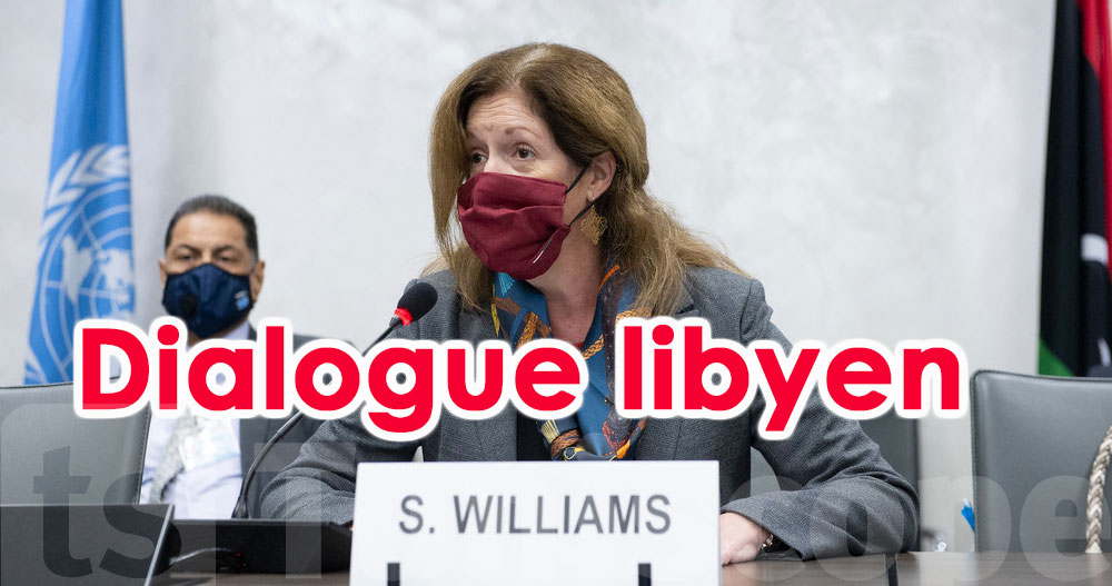 Des Participants Au Dialogue Libyen Auraient Recu Des Pots De Vin L Onu Mene L Enquete
