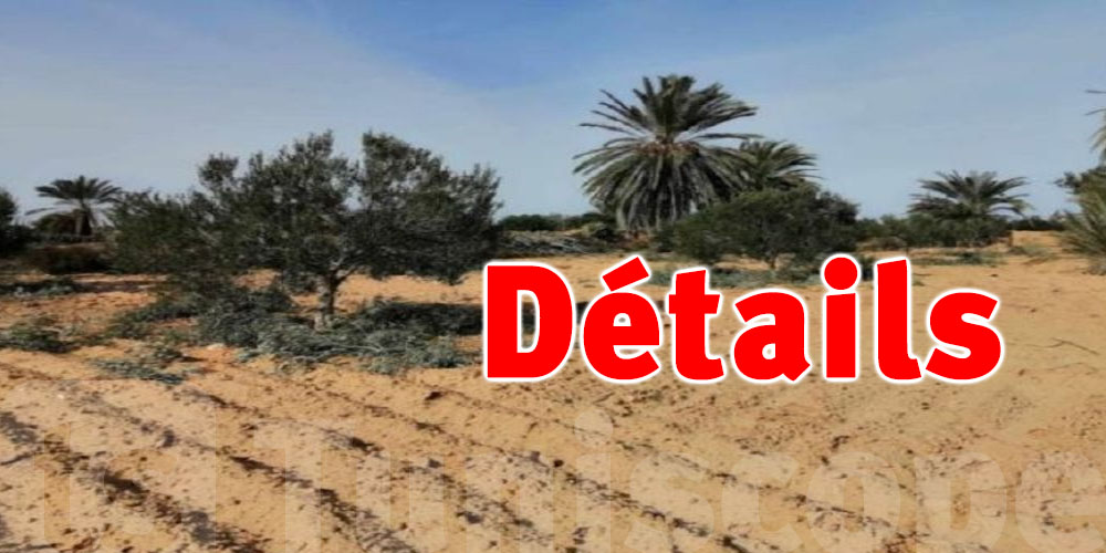 Récupération de deux terres domaniales à Djerba Midoun