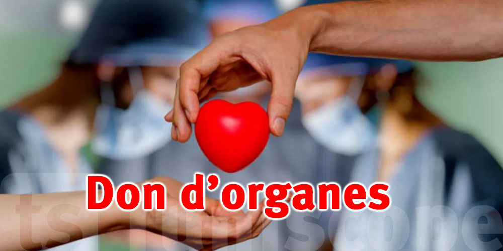 Don d’organes : un élan de solidarité permet 30 opérations vitales en 2025