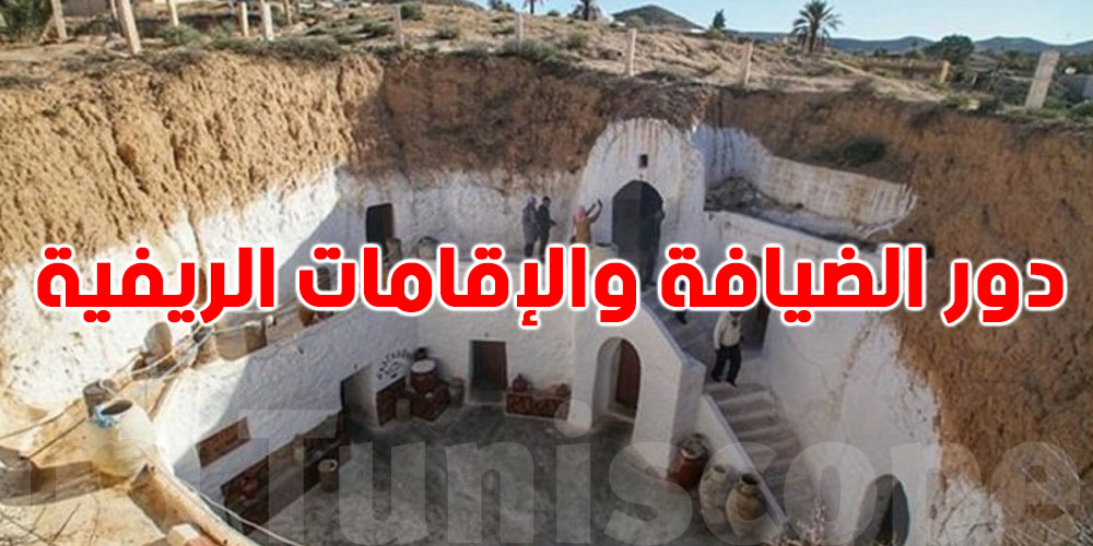 عاجل: قريباً إصدار كراسات الشروط لدور الضيافة والإقامات الريفية!