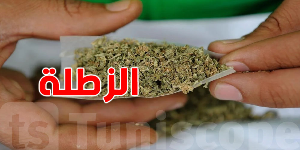 ارتفاع استهلاك ''الزطلة'' عند الأعمار بين 15 و17...التفاصيل