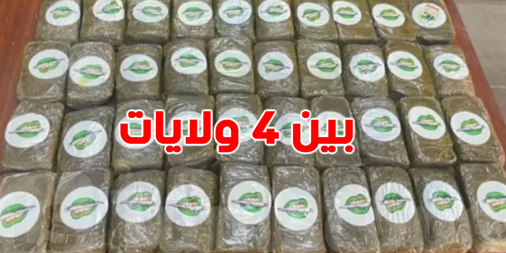 من القصرين إلى تونس الكبرى: الحرس الوطني يفكّك شبكة  لتهريب وترويج المخدرات