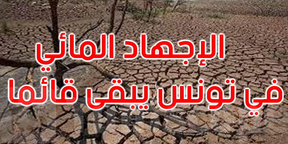خبيرة: الإجهاد المائي الكبير في تونس يبقى قائما رغم نزول الأمطار وامتلاء السدود والمائدة المائية