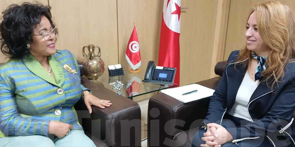  وكالة تنمية الإتحاد الأفريقي في زيارة لتونس ...و هذا ماتم مناقشته