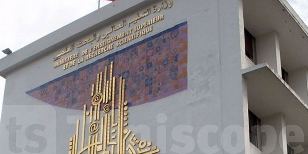 عاجل : وزارة التعليم العالي تنتدب... شنوا الاختصاصات اللى طالبتها ؟