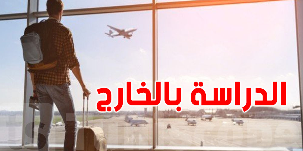 عاجل: ردّ بالك...غلطة في ملفّ الفيزا تنجم تكلفك الملاين!