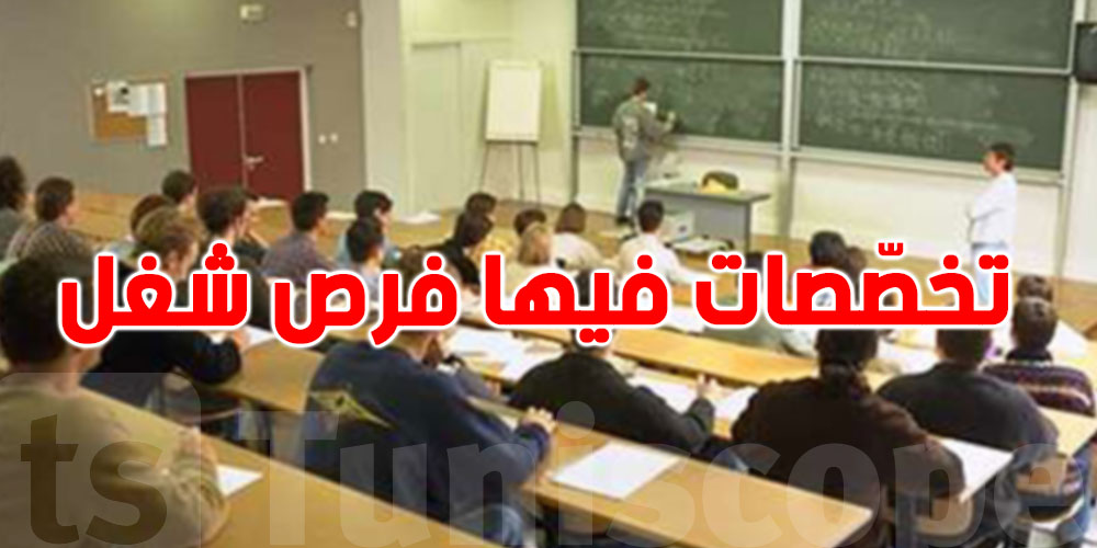 وزارة التعليم العالي: نسعى لزيادة عدد الطلبة في هذه التخصّصات