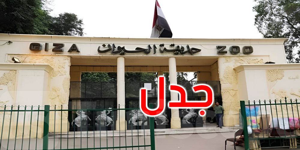 ‘طبقنا القتل الرحيم’.. أزمة في مصر بسبب إعدام حيوانات أكبر حدائقها