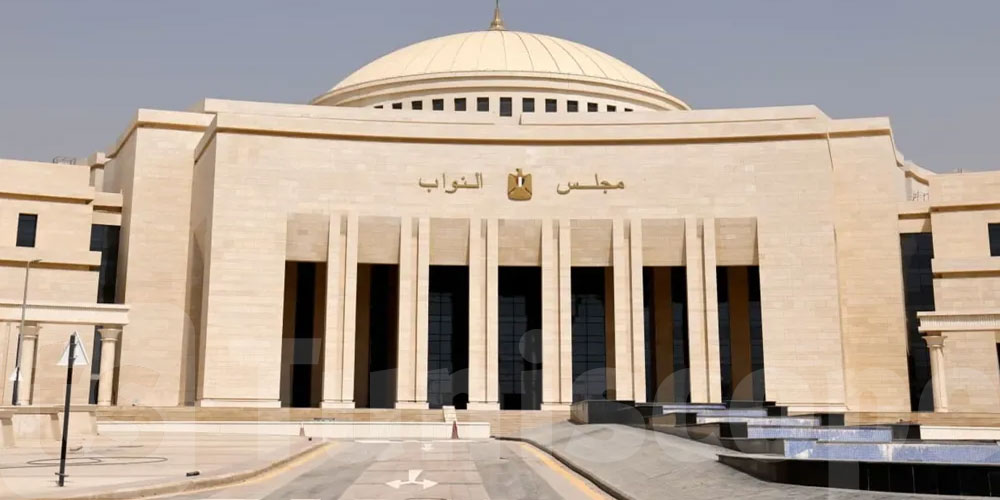 مصر.. مرشح يفوز في انتخابات النواب رغم وفاته