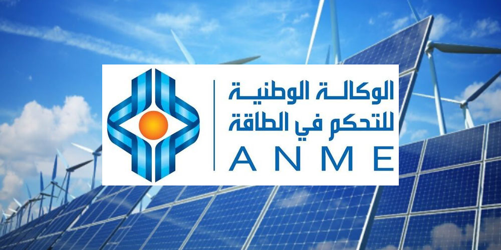 3 مبادرات وطنية لدفع مسار إزالة الكربون
