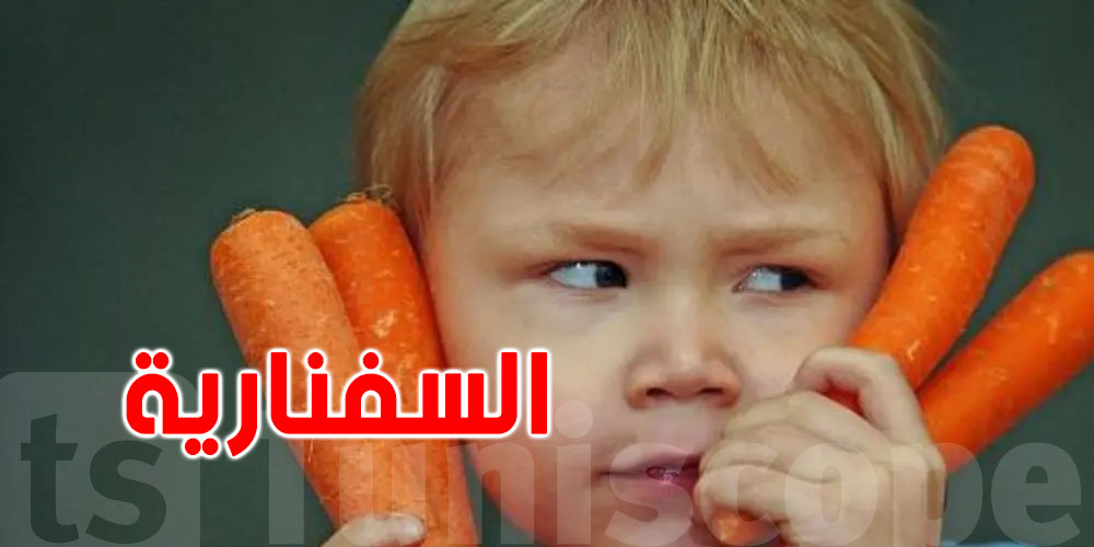 شنوا علاقة السفنارية بتقوية النظر؟ ...العلم يجيب