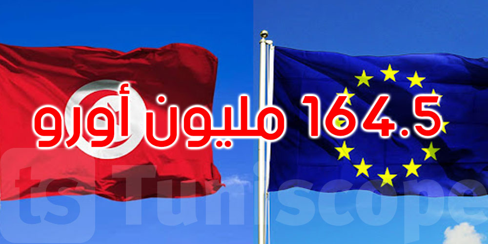  فايننشال تايمز: الاتحاد الأوروبي سيقدم لتونس 165 مليون أورو لكبح الهجرة